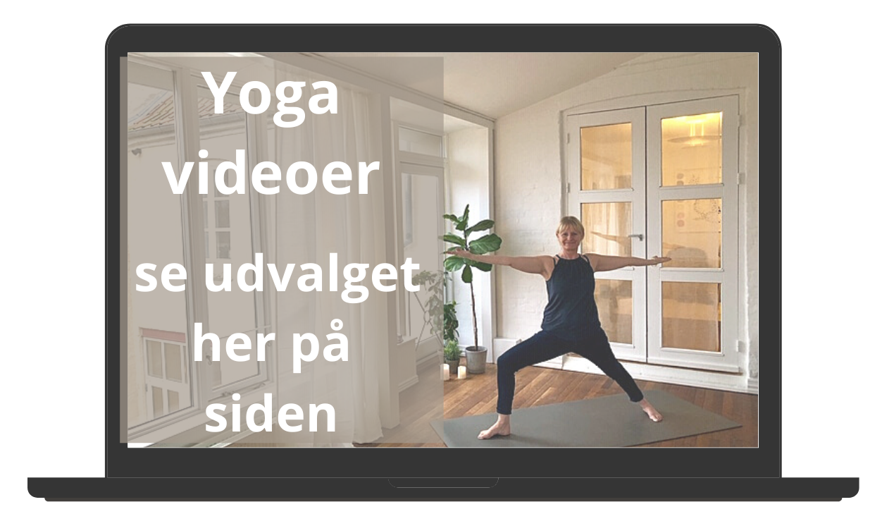 Køb Ninas yoga videoer