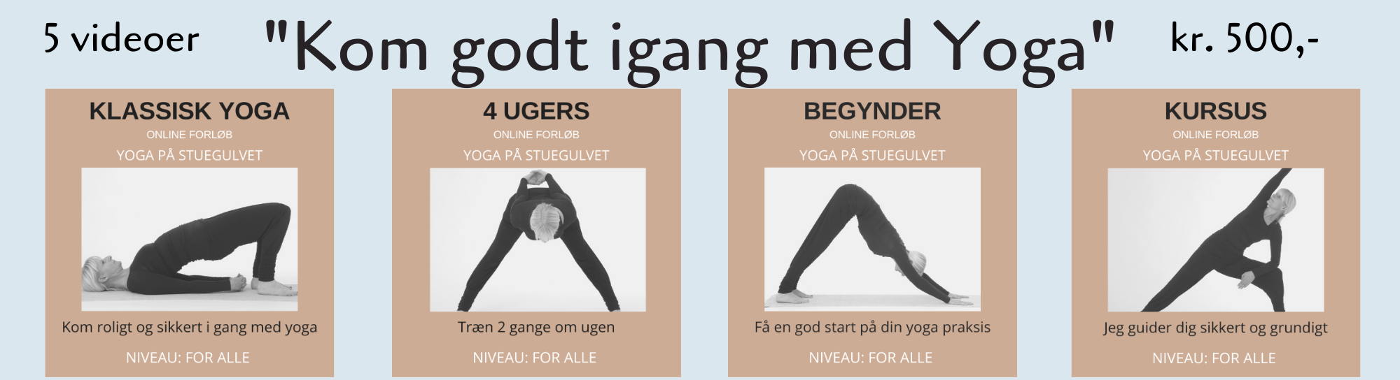 Banner til online begynder